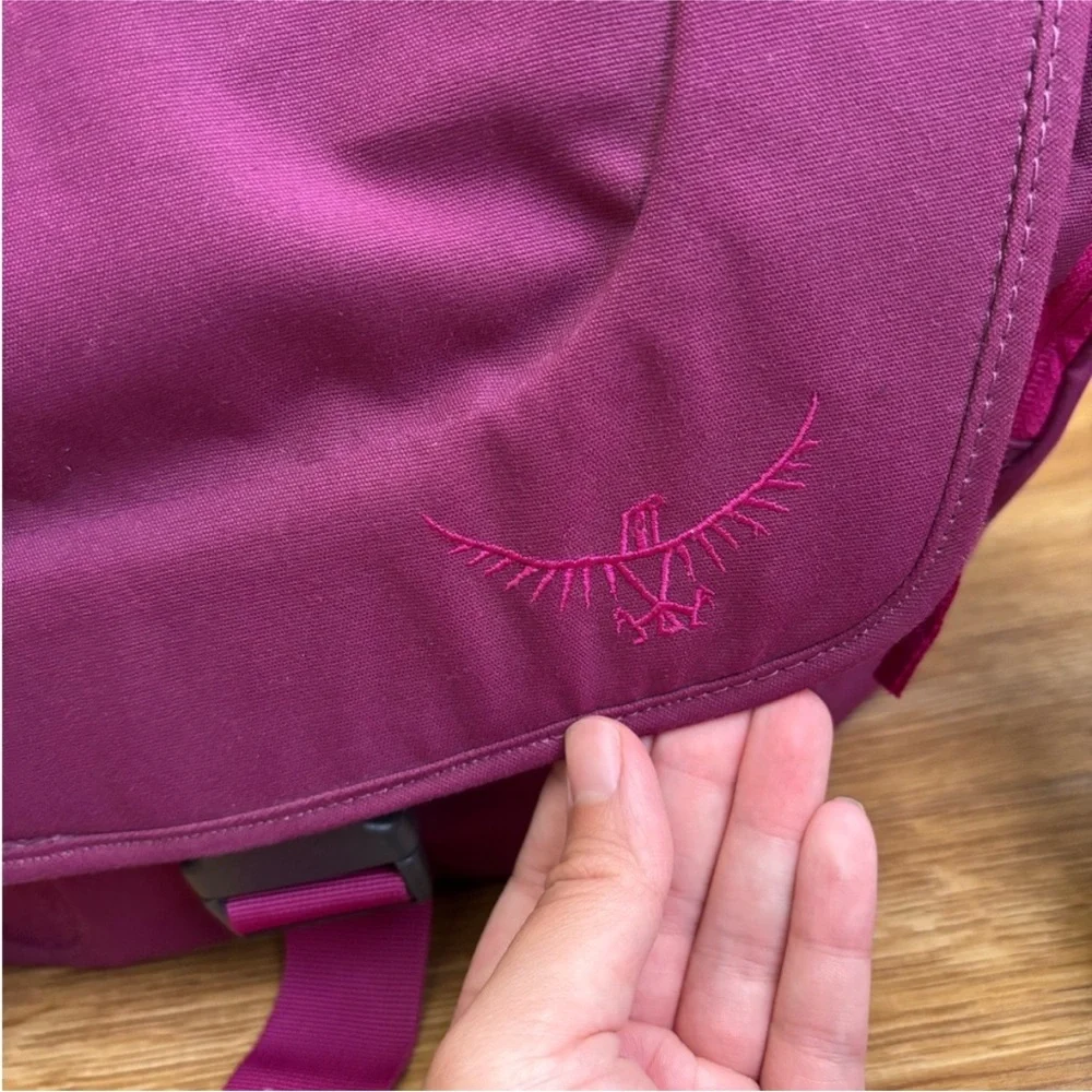 [LIKE NEW] Osprey Flapjill Courier 17L Messenger Bag - Picture 8 of 11